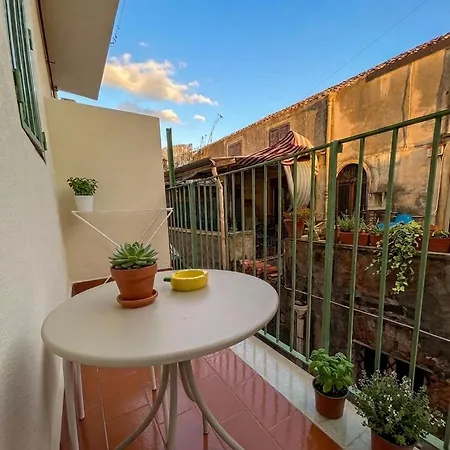 Station Collection Appartement *